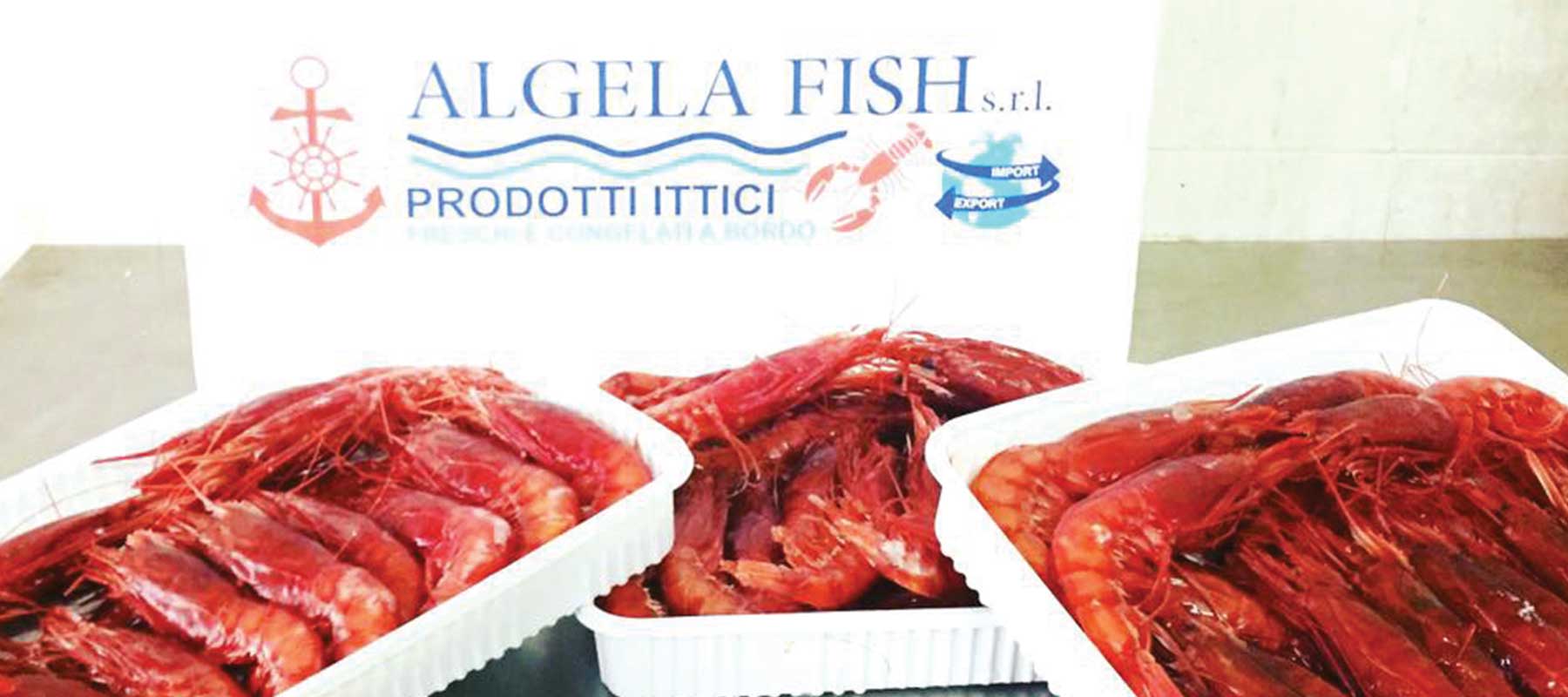 Il pesce rosso - VillaggioNatura